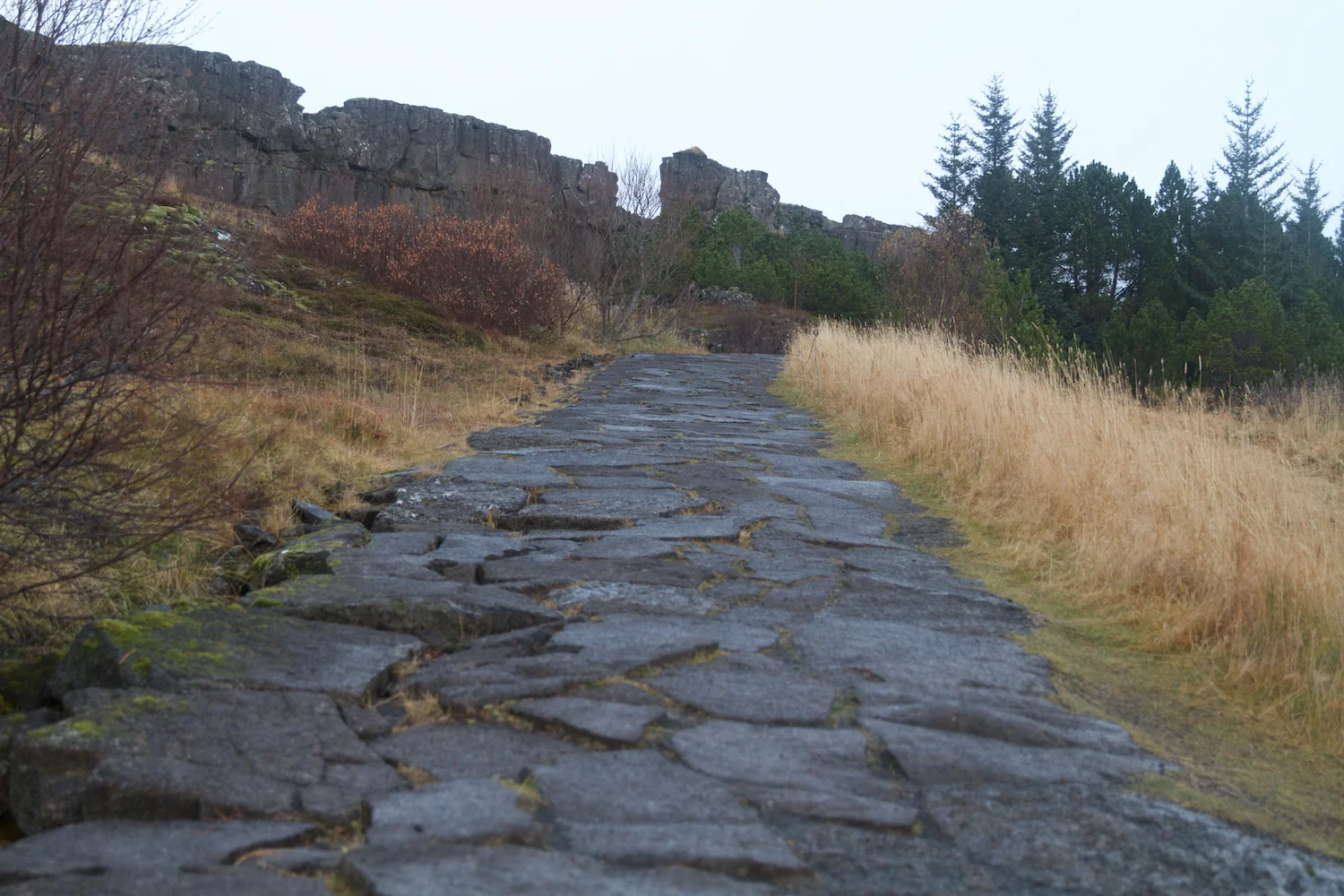 Island 2014_10_25 250.jpg