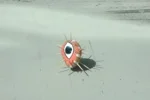 They are watching us. These new photographs show our soon to be spiky overlords are observing us. The mystery deepens.