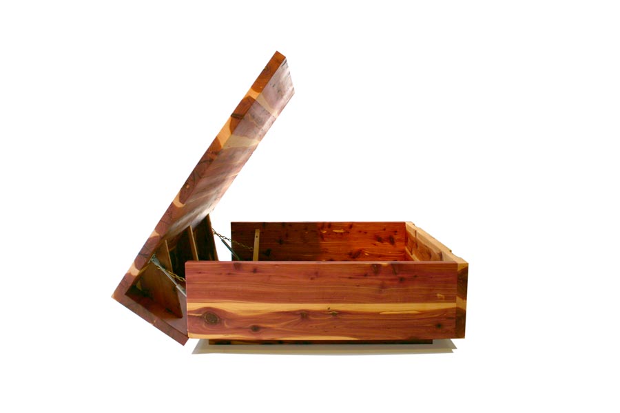 cedar4.jpg