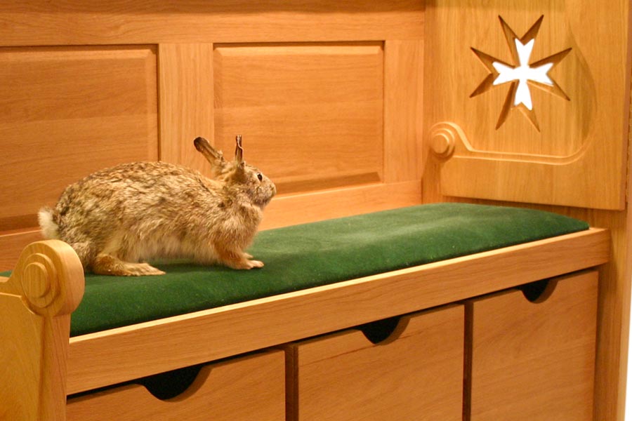 quoilerabbit1.jpg