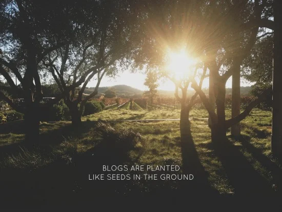 blogs are planted 2.jpg