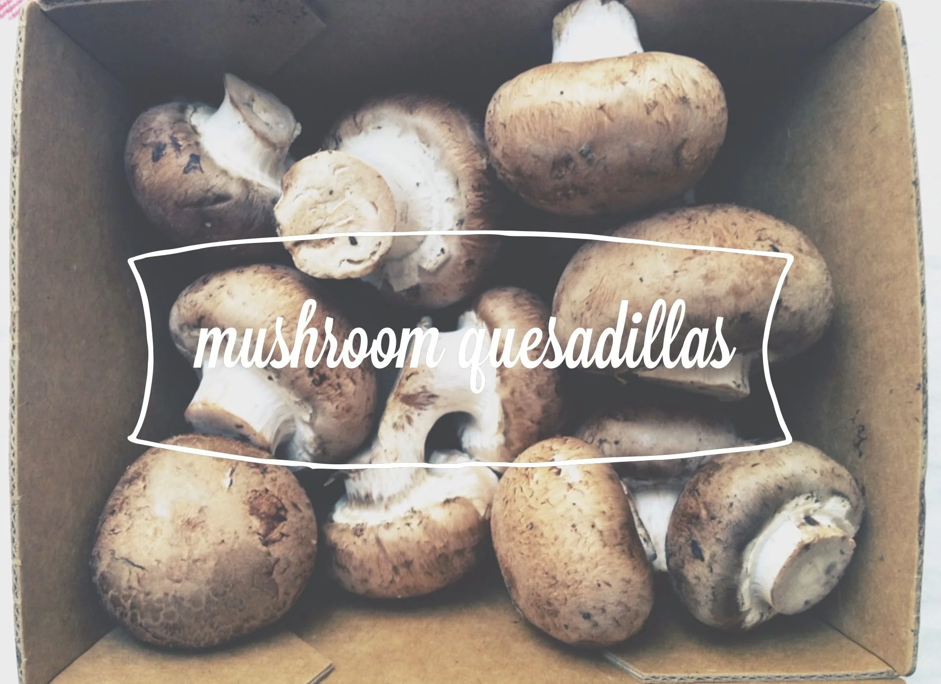 mushroom quesadillas6.jpg