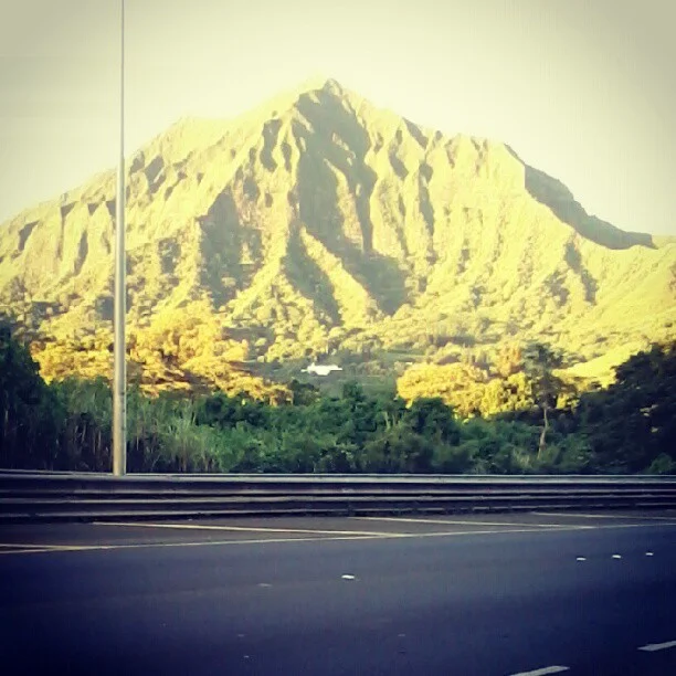 pali_road.jpg