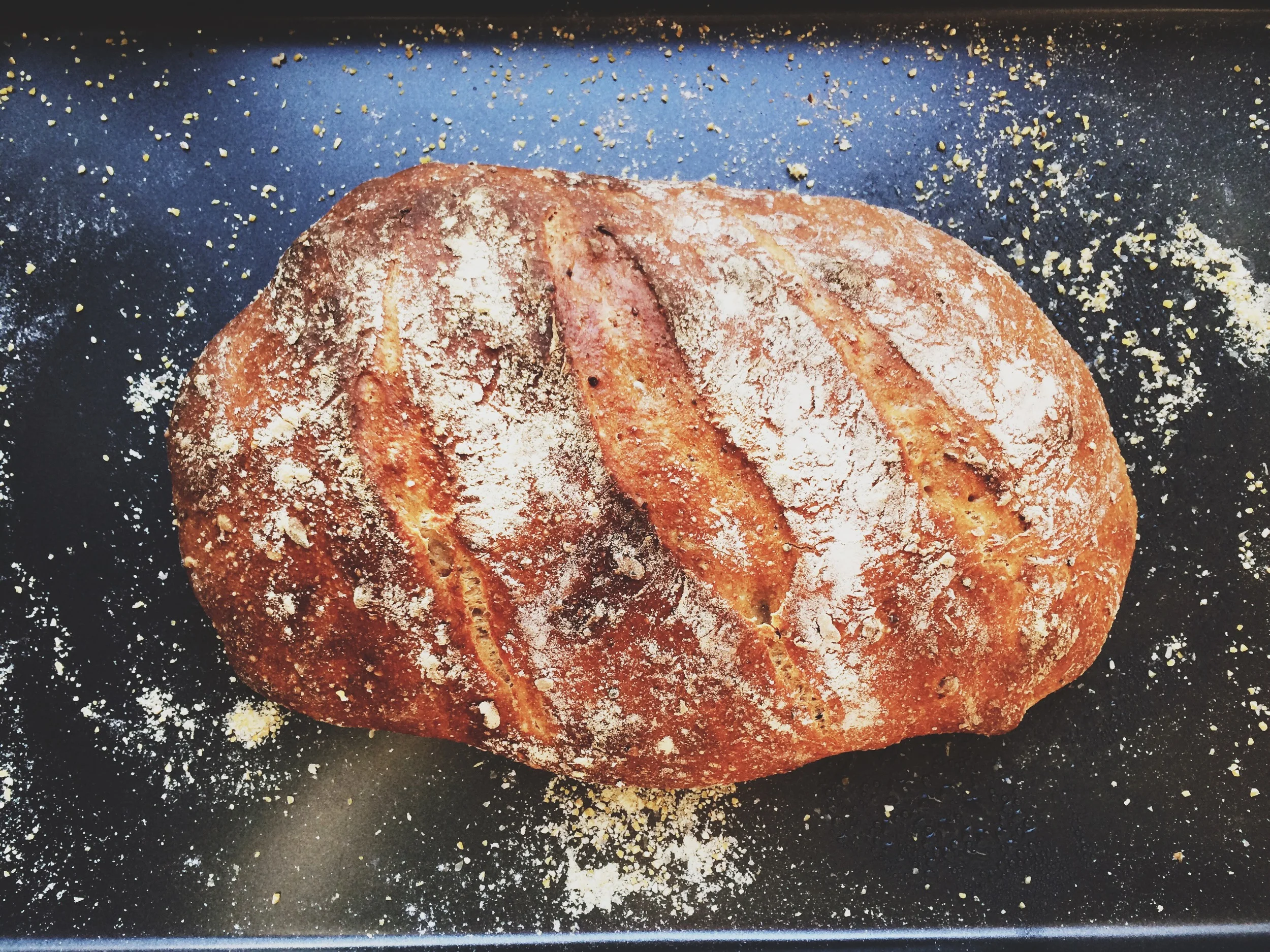 Homemade Whole Grain Bread | Eat This Poem