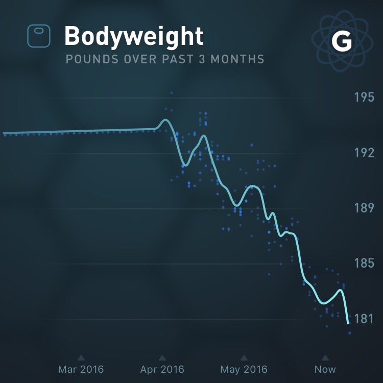 Gyroscope app (syncs with Fitbit scale)