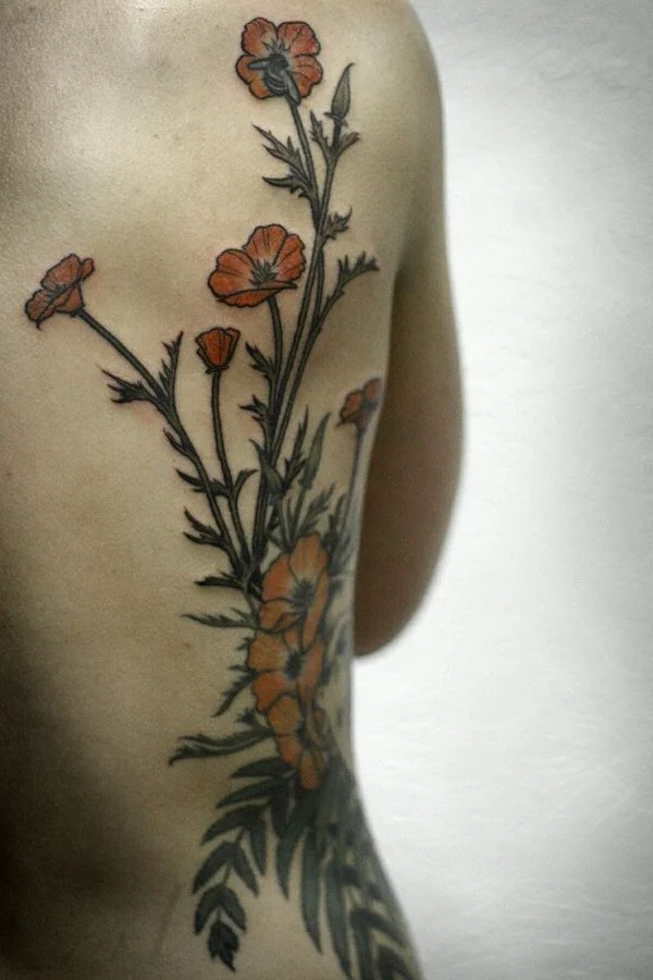 AliceCarrierPoppies.jpg