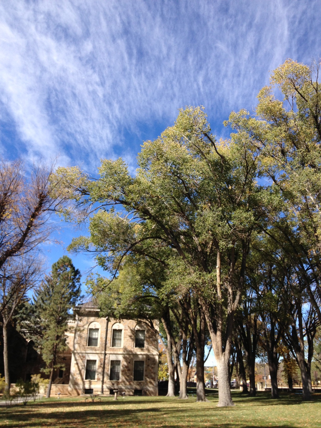 santa fe clouds and trees.jpg