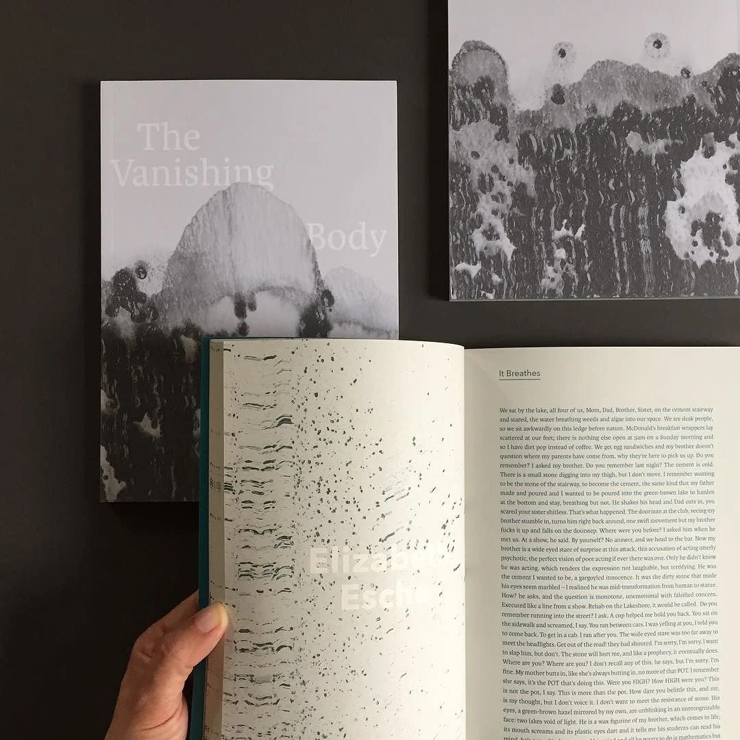 In_case_your_wondering_where_some_of_the_textures_I_create_end_up._Just_got_the_finished_book_for_the_School_of_the_Art_Institute_of_Chicago_sent_over__hot_off_the_press.___bookdesign__design__saic__winterbureautextures.jpg