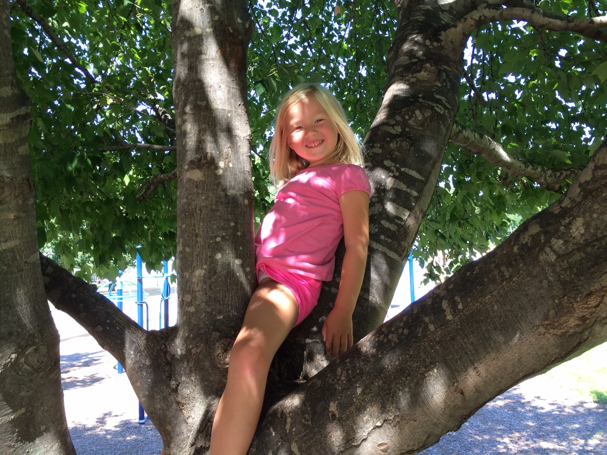 Tree hugger....er, climber