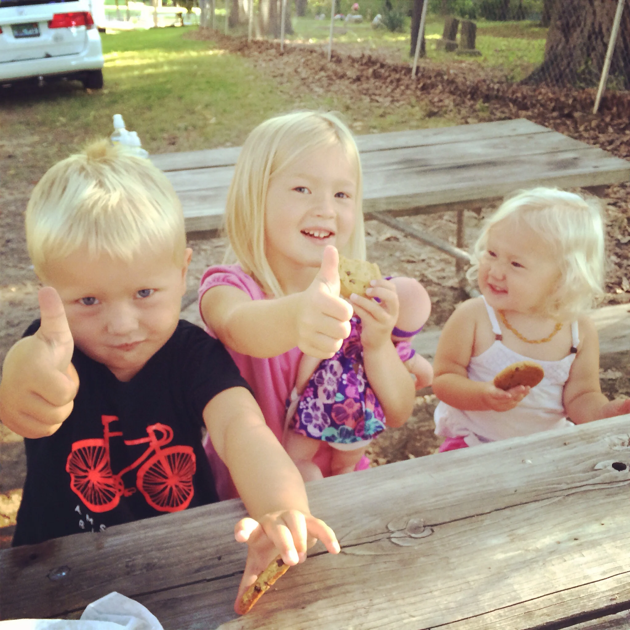 We made it, and they had fresh (frozen then thawed) cookies!&nbsp;