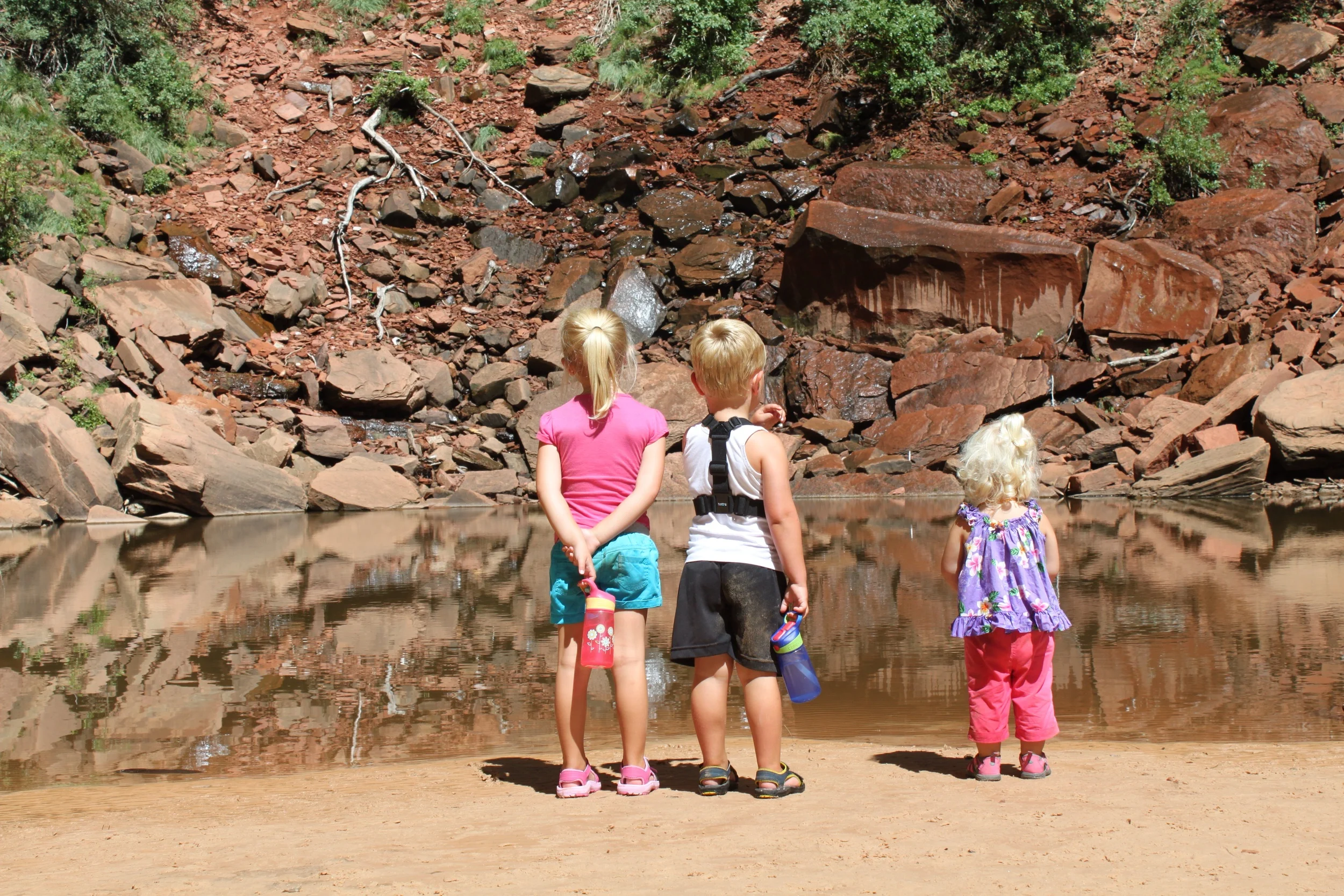 Curious George Goes to the Zoo: Day Eight