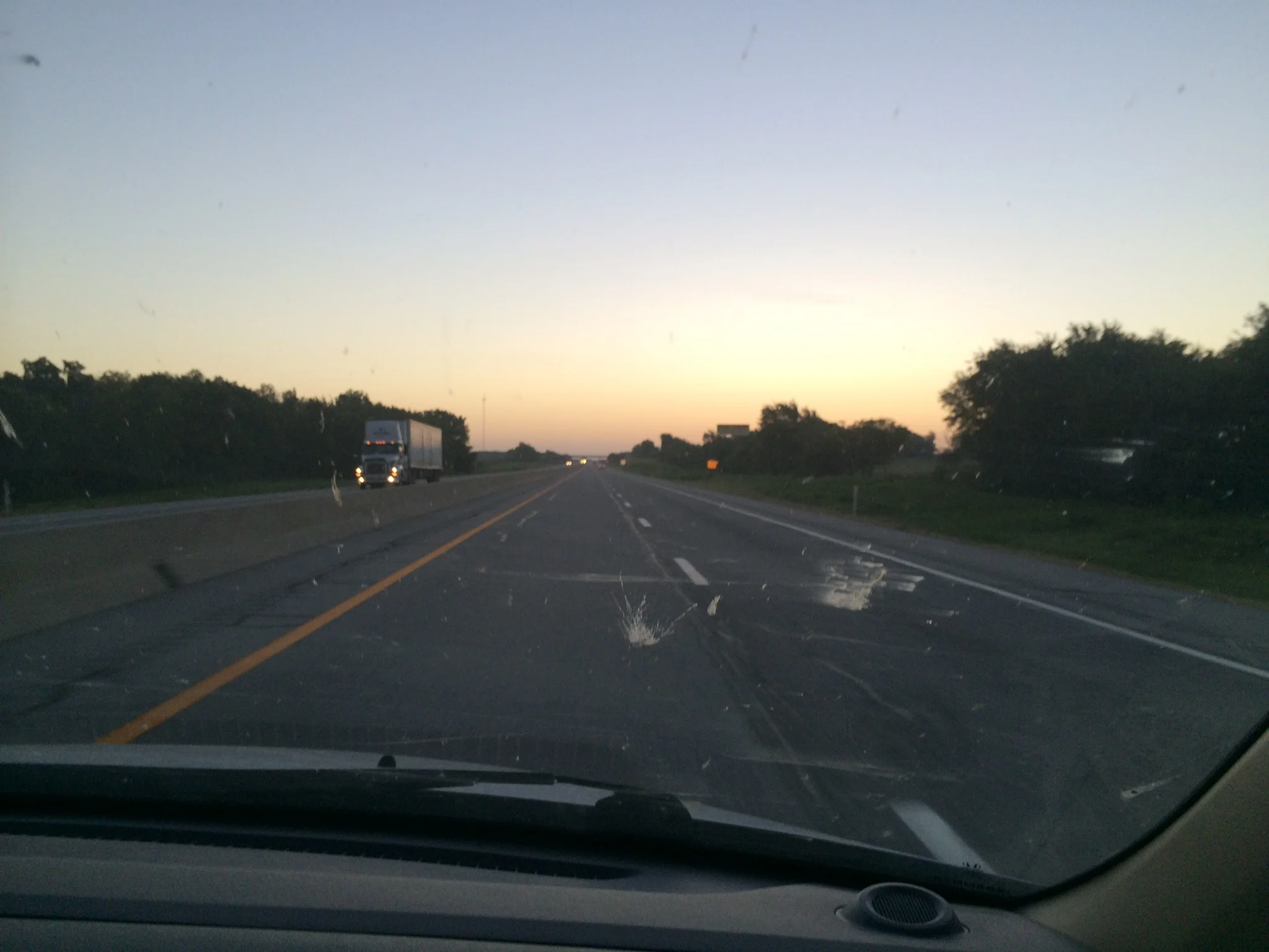 I call this one "Insectus Stuckus at Sunrise" Or an Oklahoma Sunrise. 