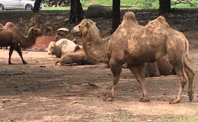 Guess what day it is? 