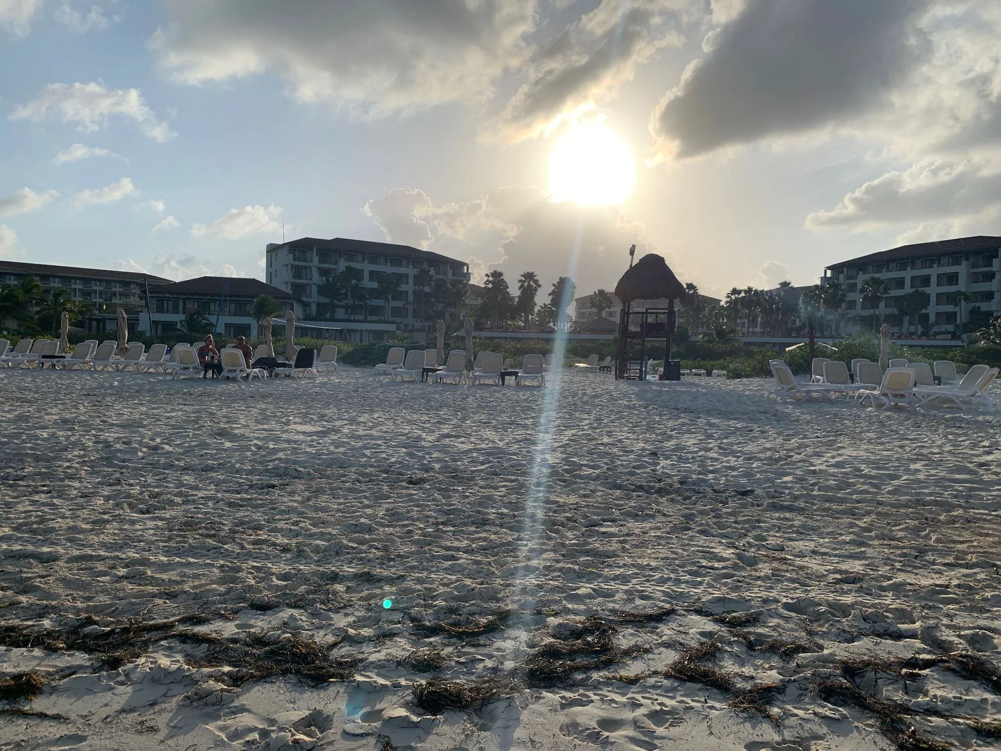 IMG_4377.jpeg