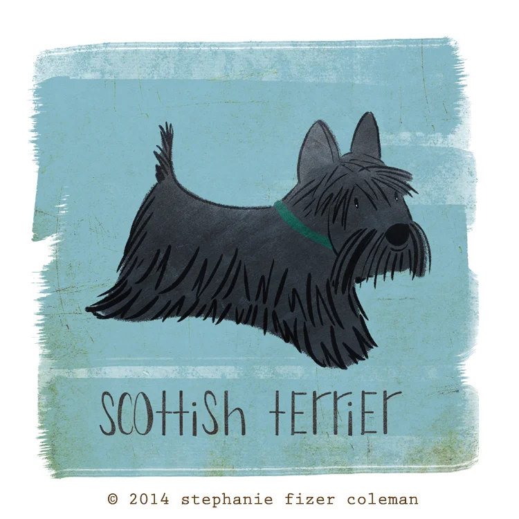 scottie