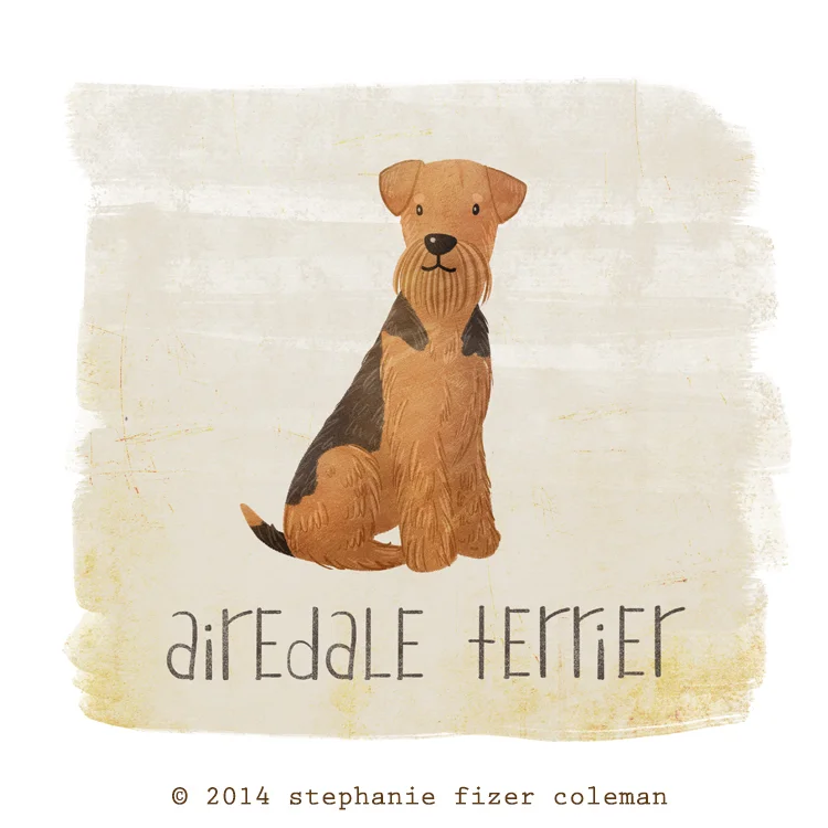 airedale terrier