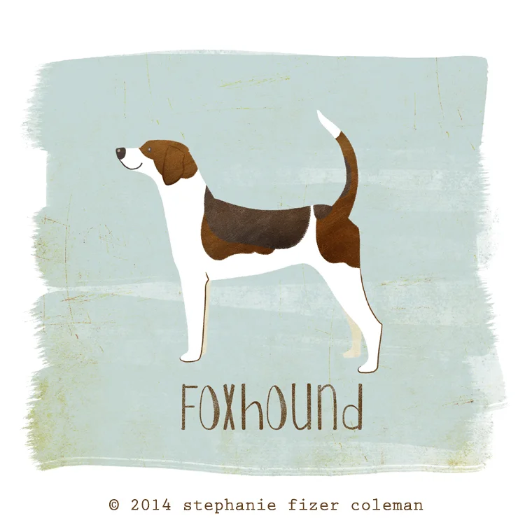 foxhound