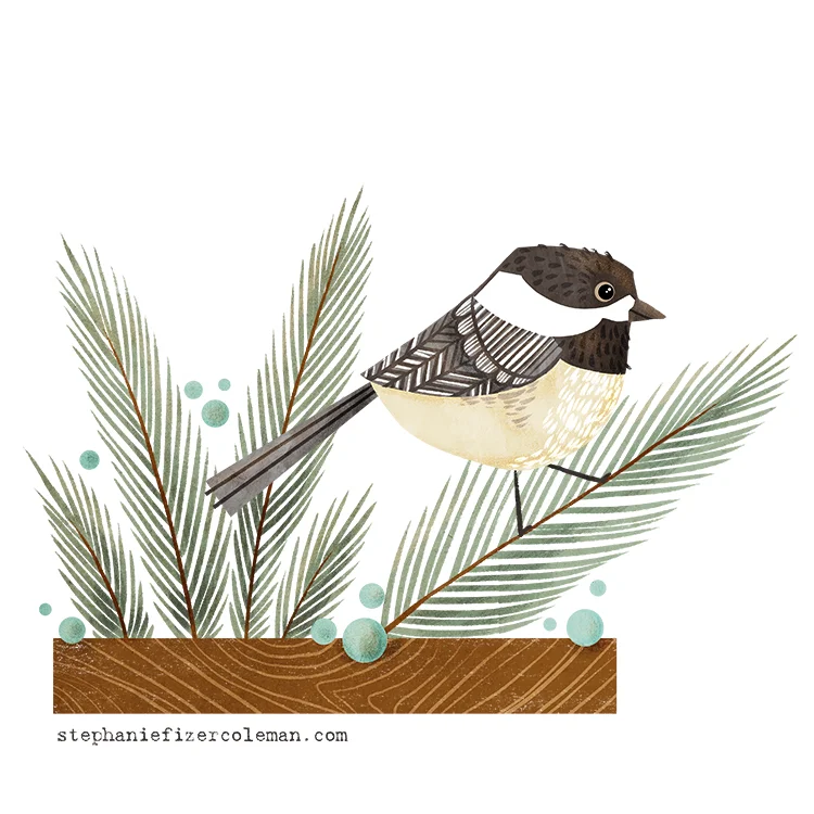 2 chickadee.jpg
