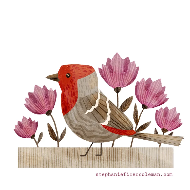 3 house finch progress.jpg