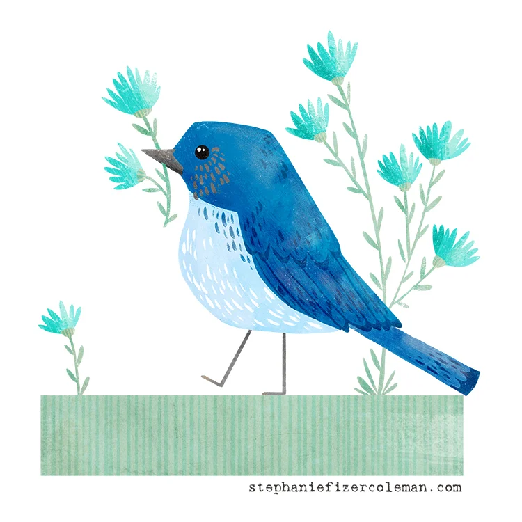 5 mountain bluebird.jpg