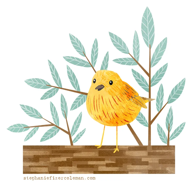 21 yellow warbler.jpg