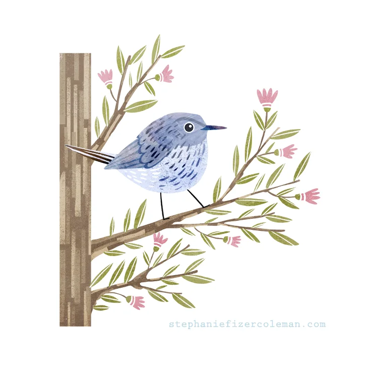 31 blue gray gnatcatcher.jpg