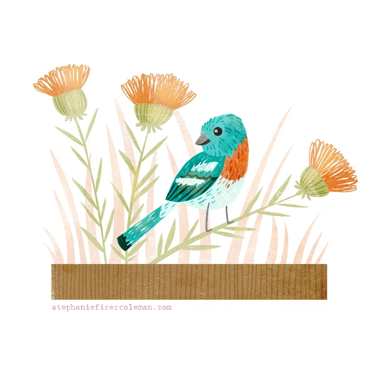 34 lazuli bunting.jpg