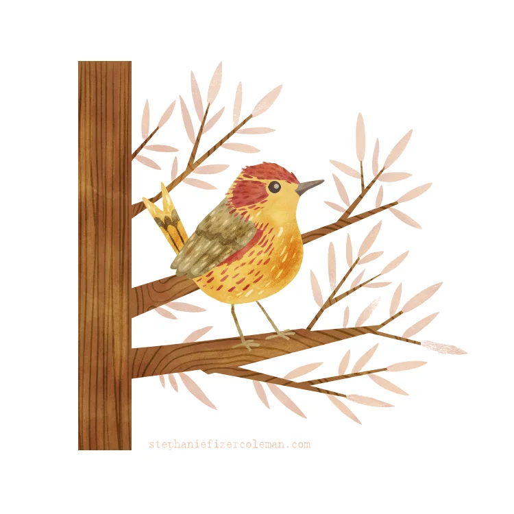 51 palm warbler.jpg