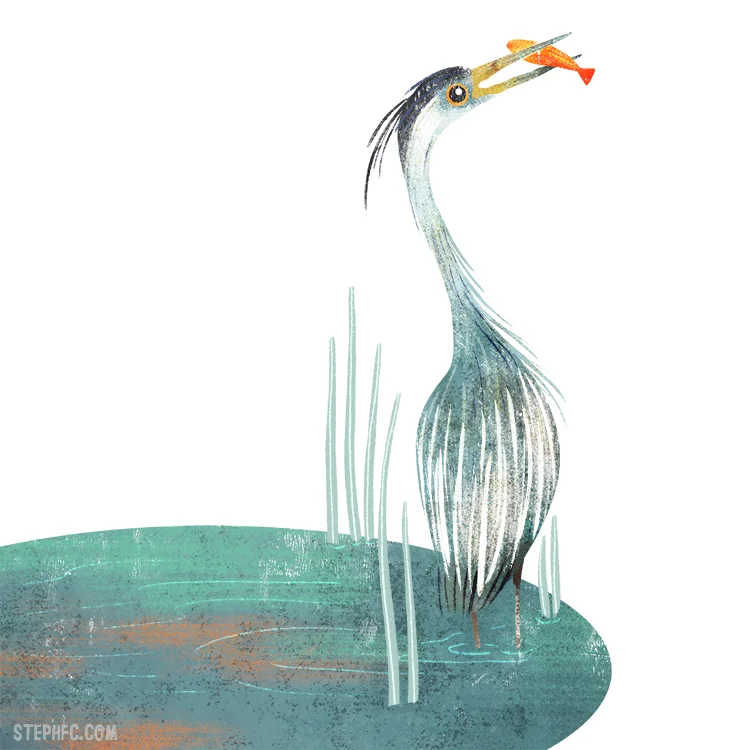 great blue heron.jpg
