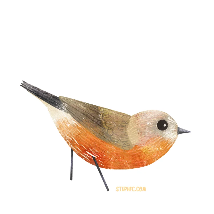 rockwarbler.jpg
