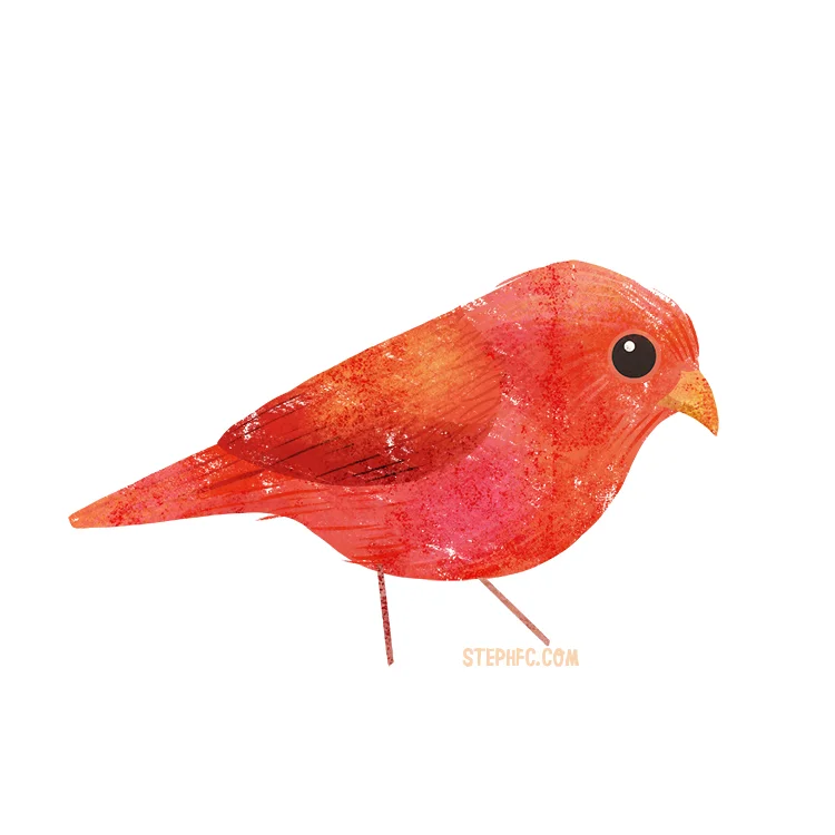 summer tanager.jpg