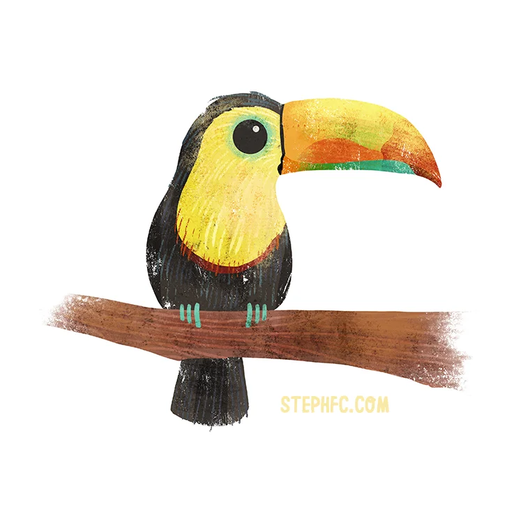 toucan_stephfizercoleman.jpg