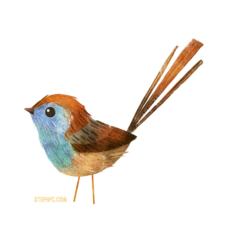 mallee emu wren.jpg