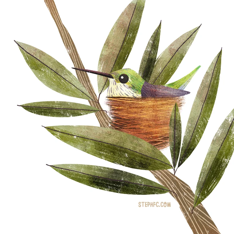 ruby throated hummingbird.jpg