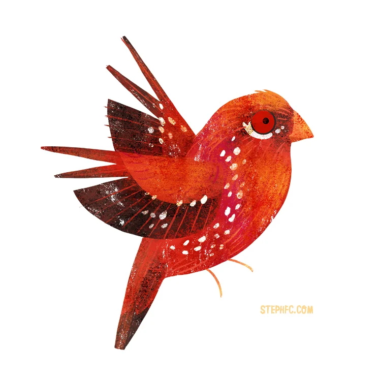 strawberry finch.jpg