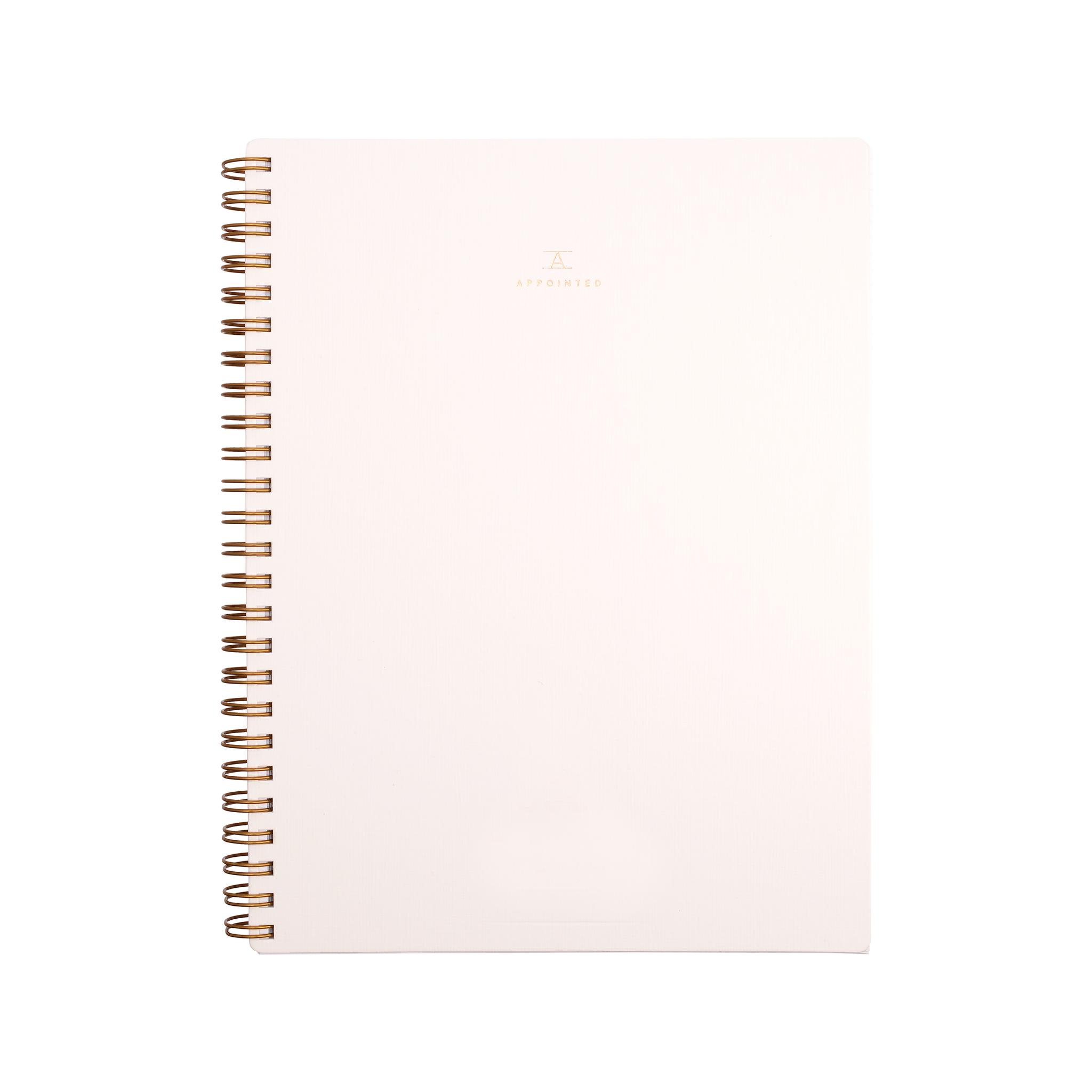 Workbook Canvas White.png