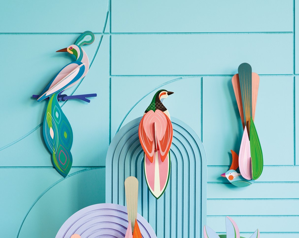 Maui-Bird-overview.jpg