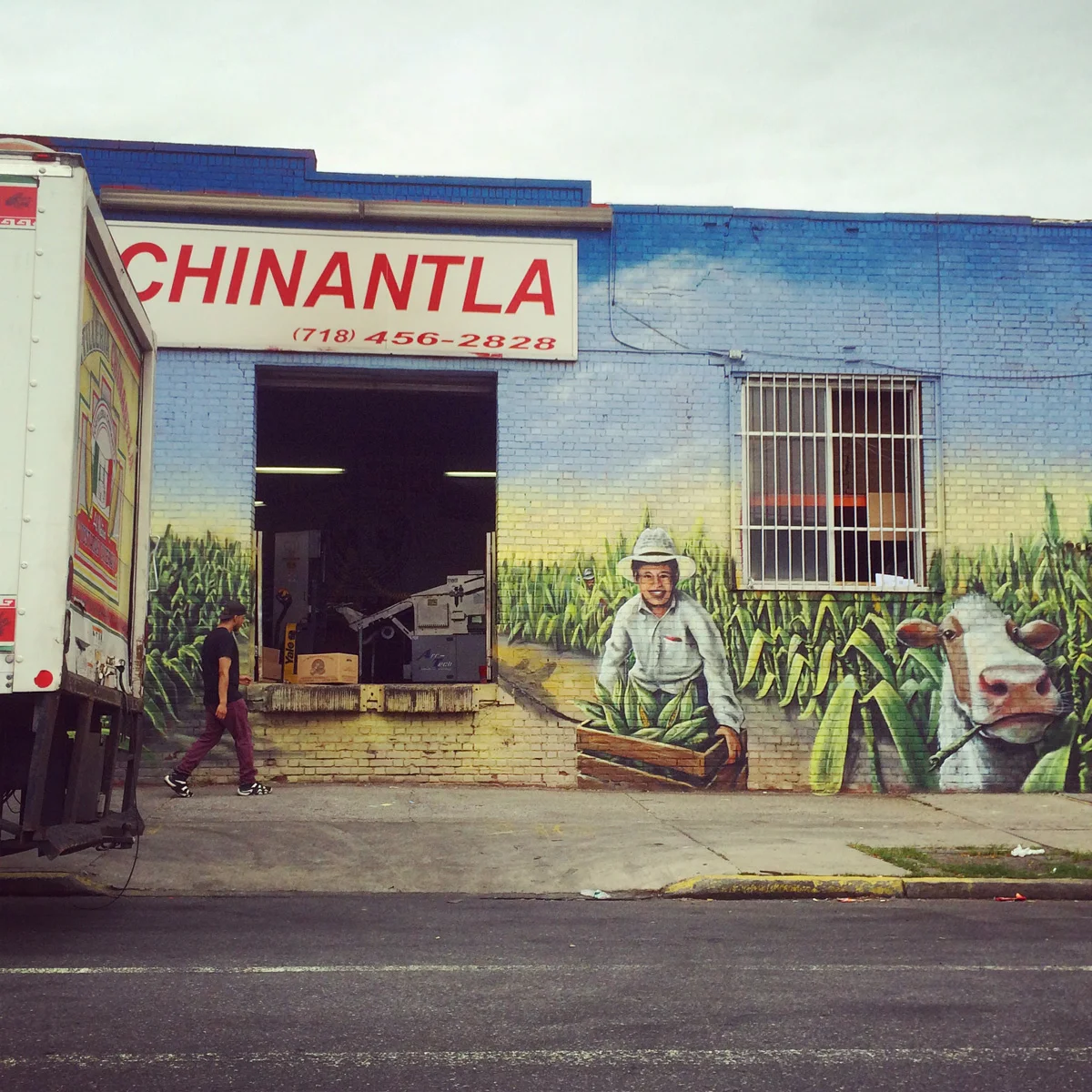 Bushwick is chock full of tortilla factories. This one is the best dressed.
