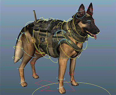 k9_loop.gif