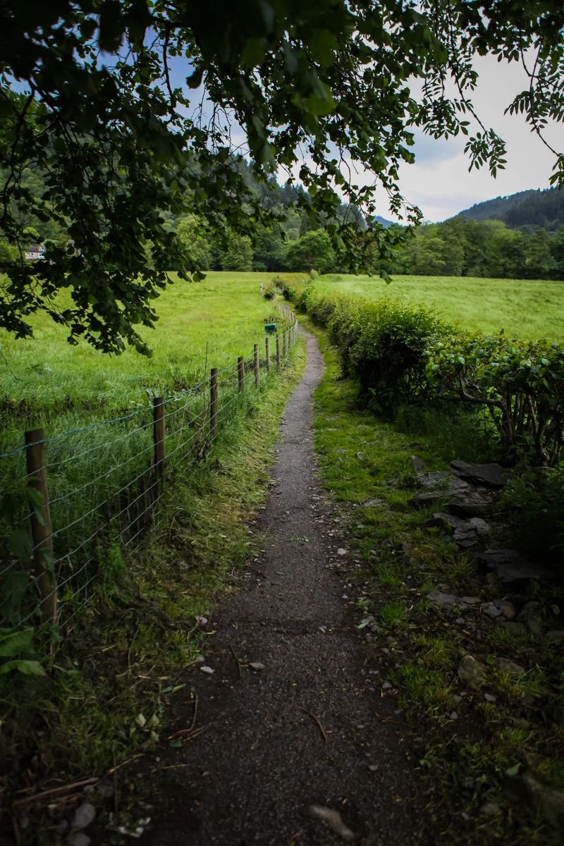 ©Jennifer Bailey, 2010, Betws-y-Coed, Wales.