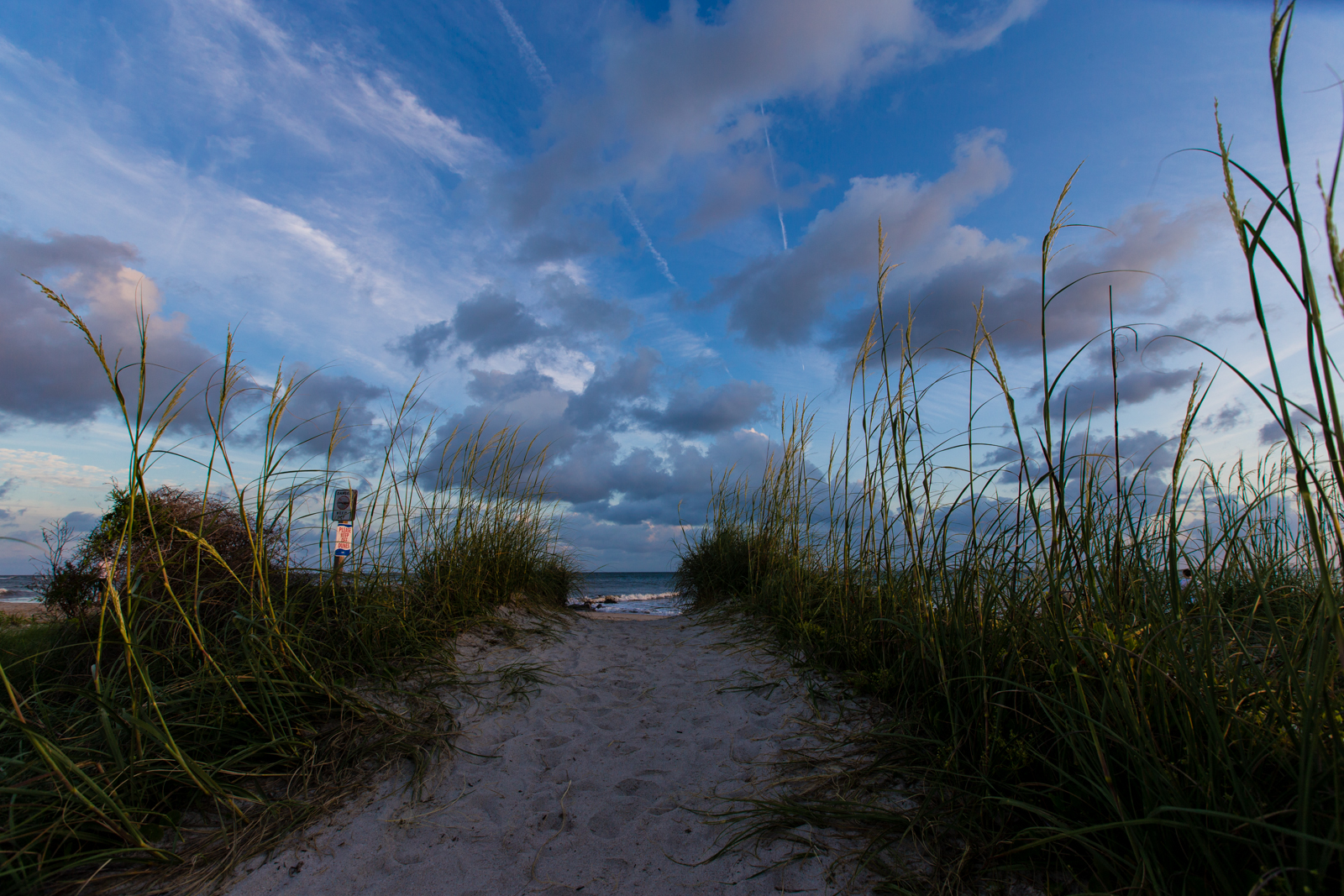 ©Jennifer Bailey 2013 Edisto Beach, South Carolina