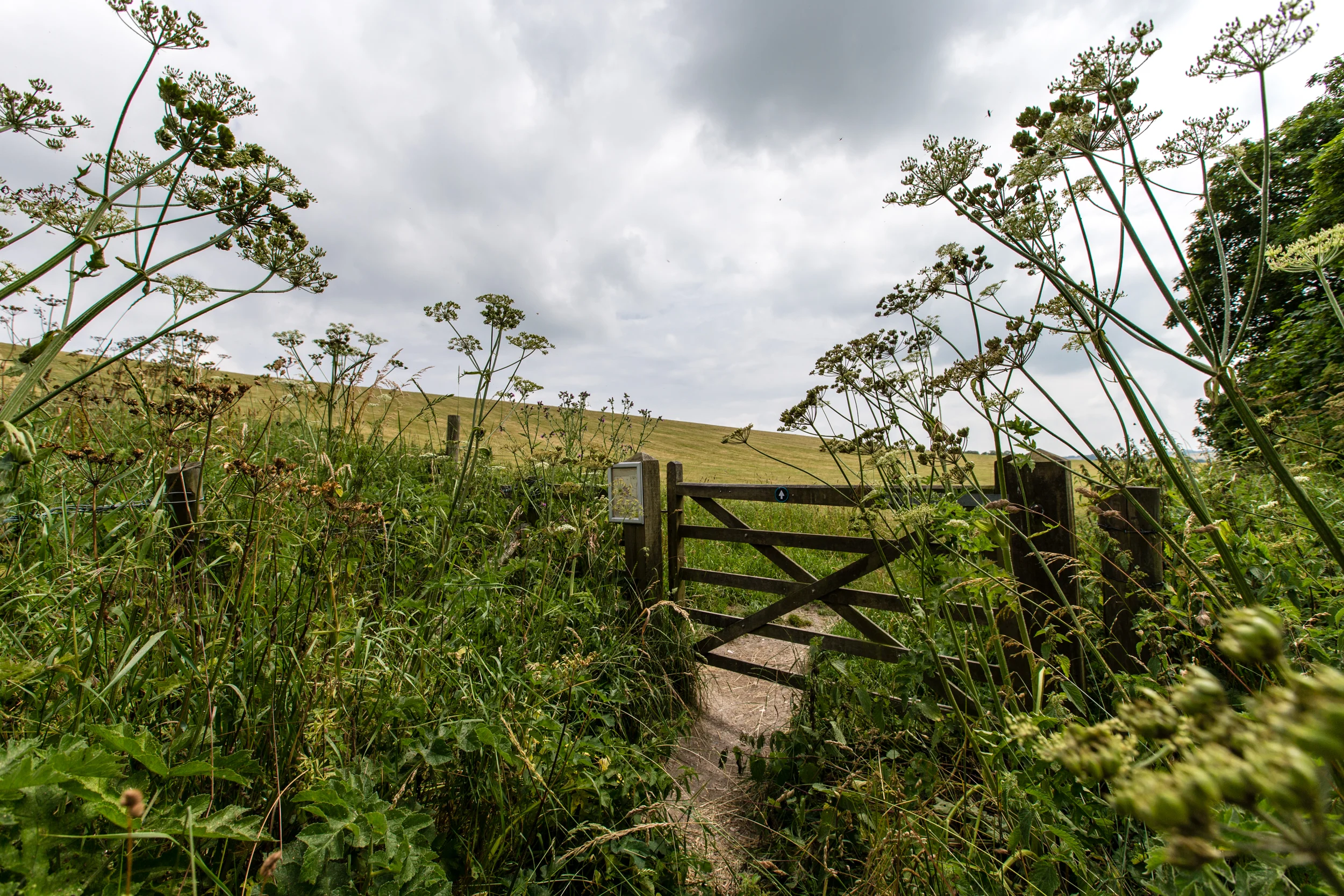 ©Jennifer Bailey Avebury, England