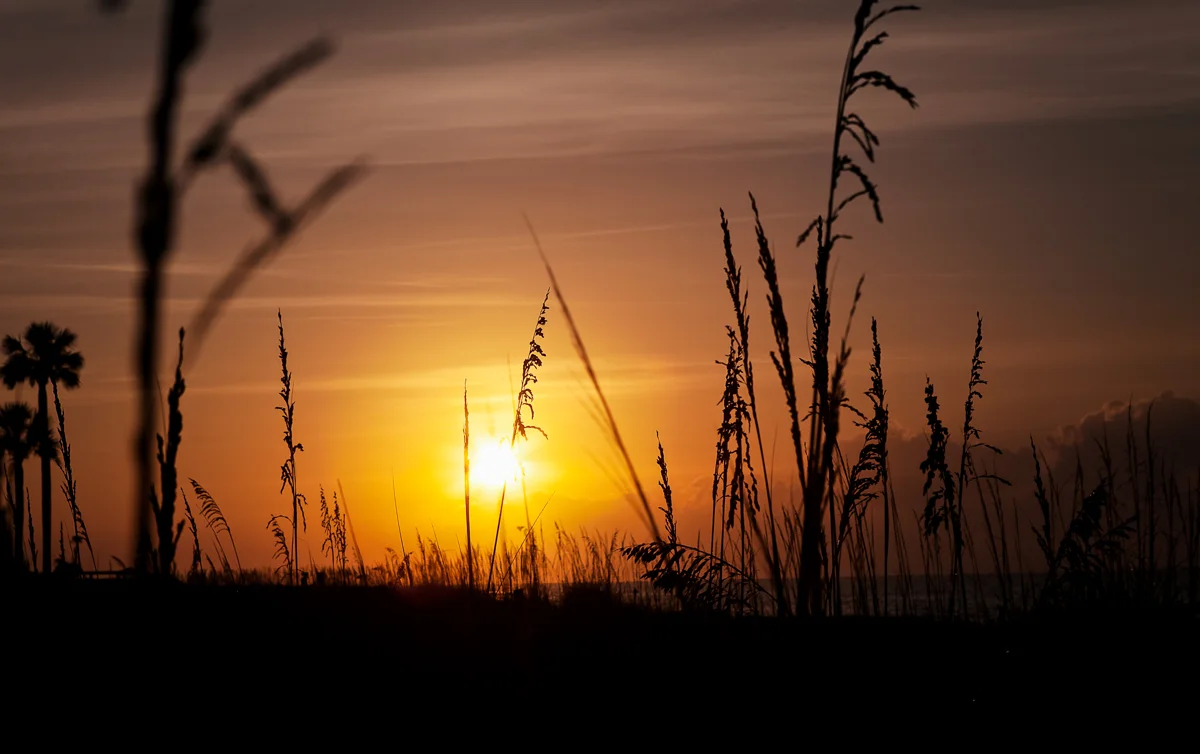 ©Jennifer Bailey 2013 Edisto Island
