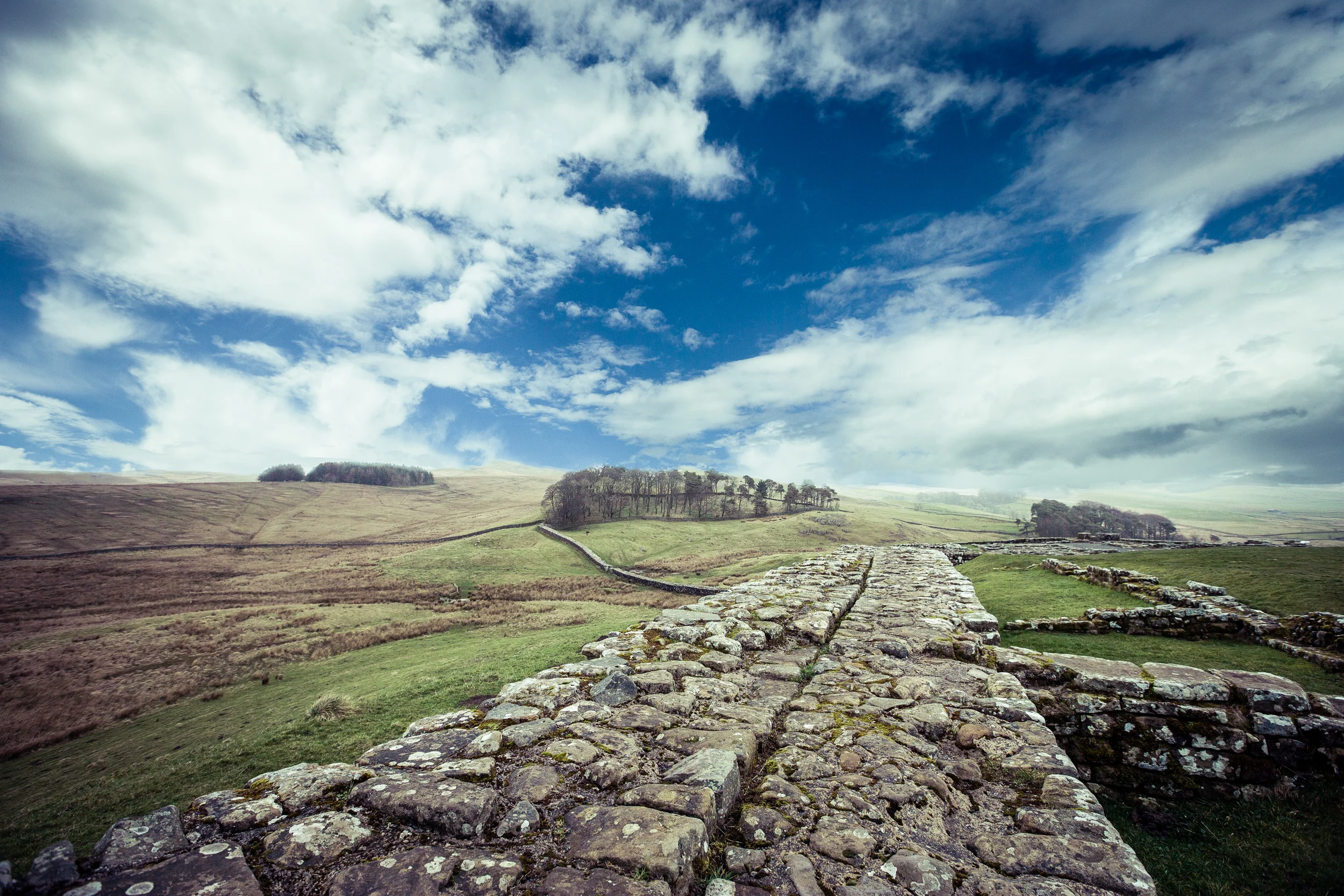 ©jennifer bailey 2014 housesteads roman fort, hadrians wall