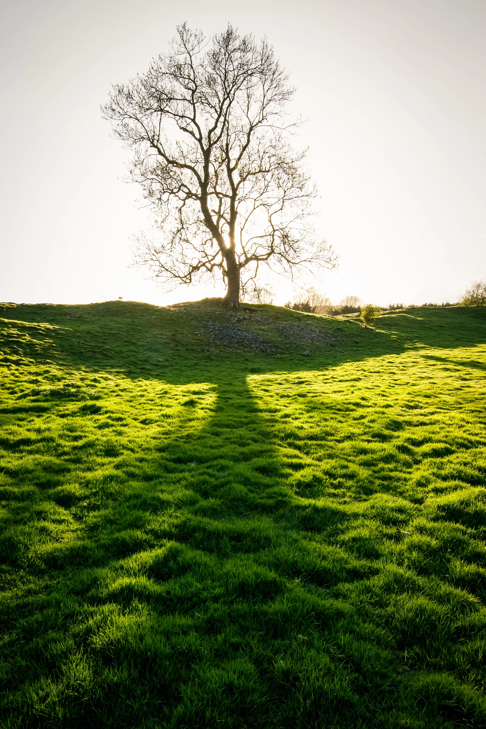 ©jennifer bailey 2015 mayburgh henge, cumbria