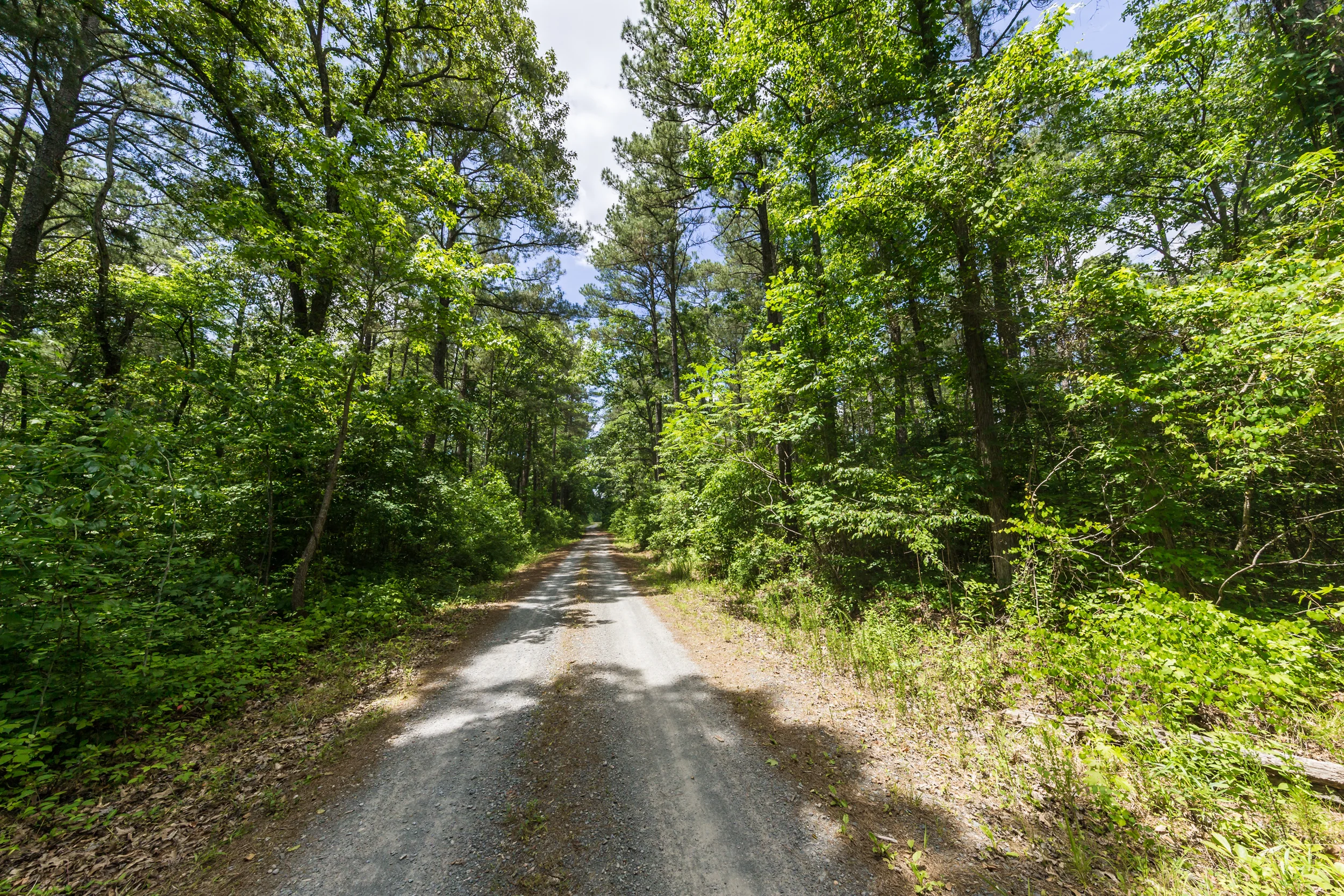 ©jennifer bailey 2015 pee dee wildlife nature preserve