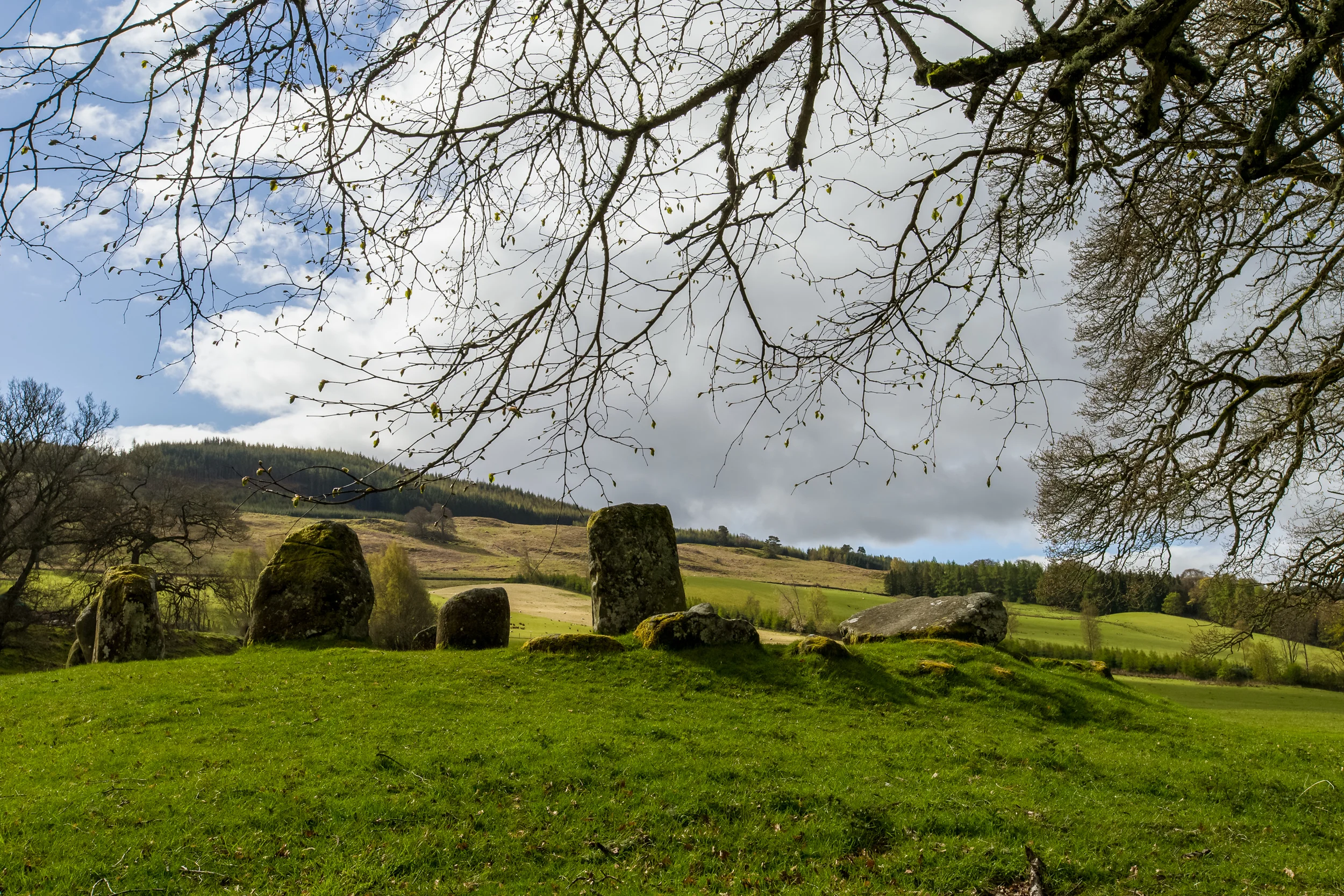 ©jennifer bailey 2015 croft moraig perthshire