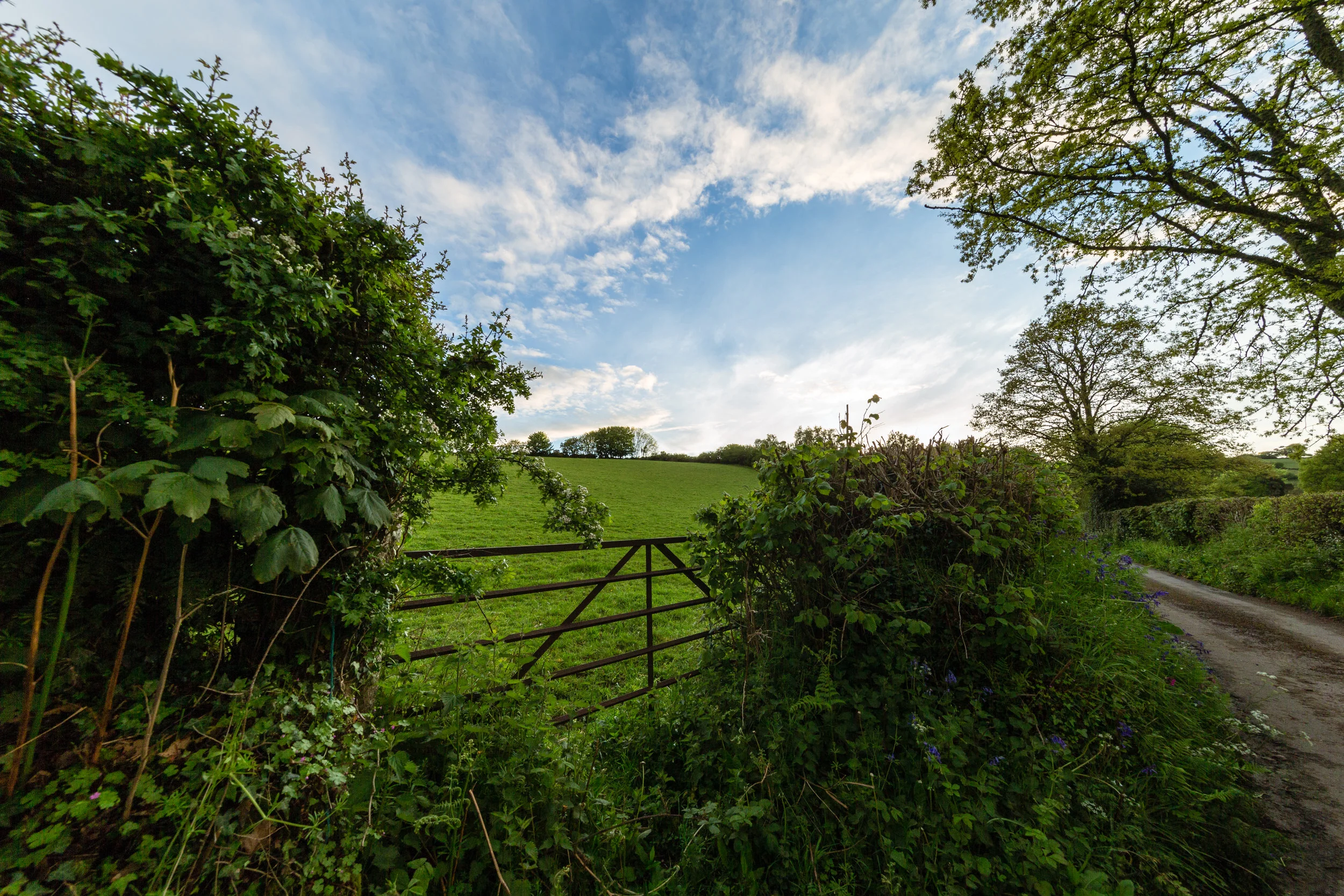 devon countryside farm gate