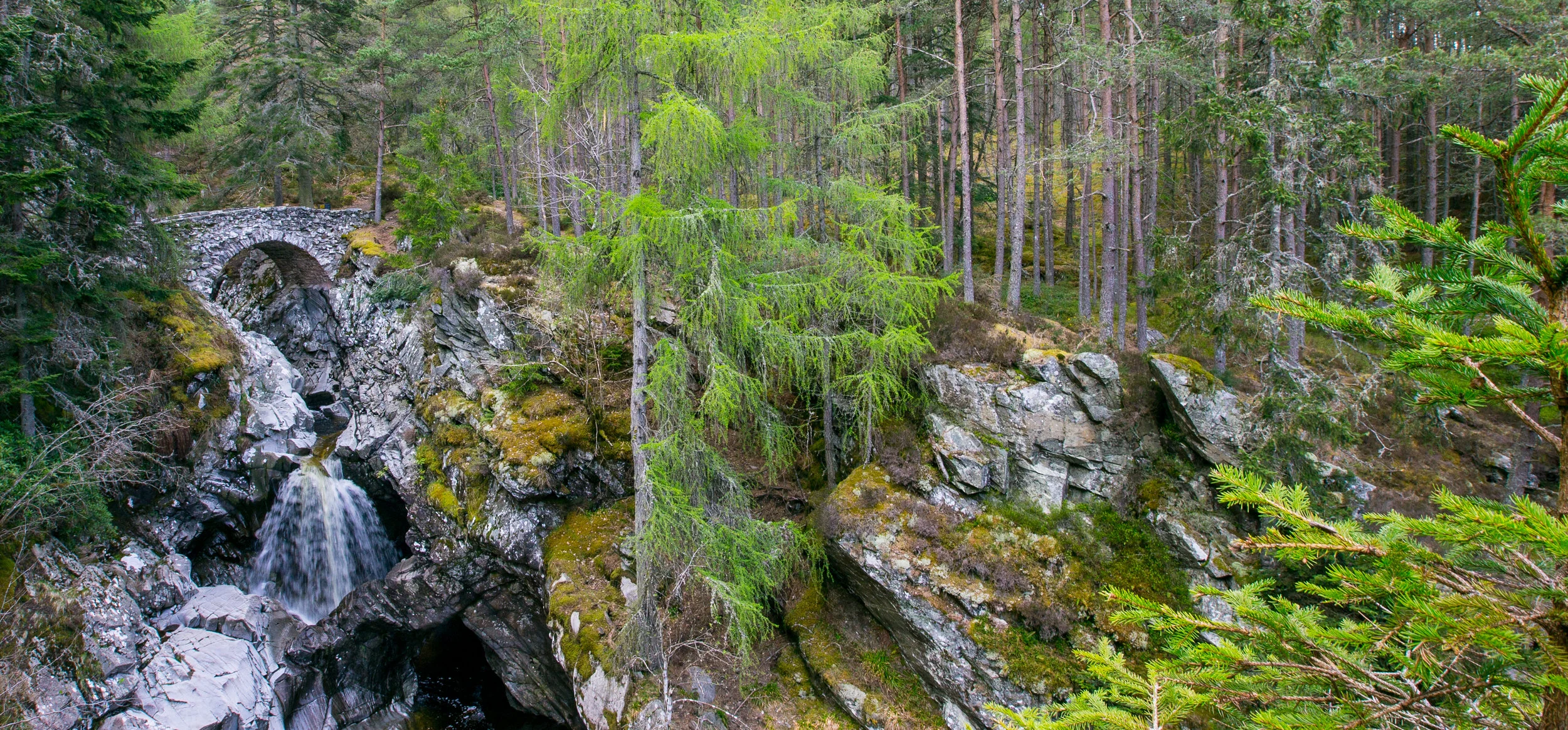 scotland bruar falls 2015 © jennifer bailey