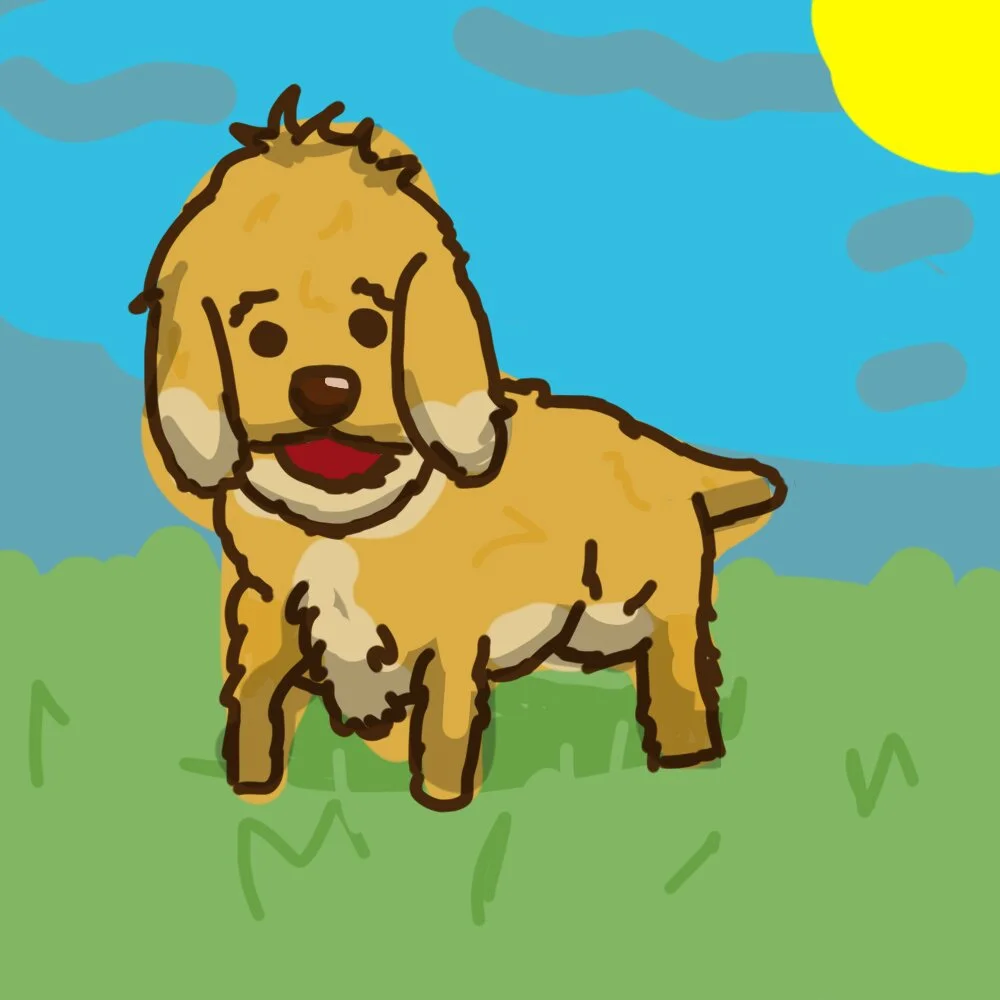 Cockapoo